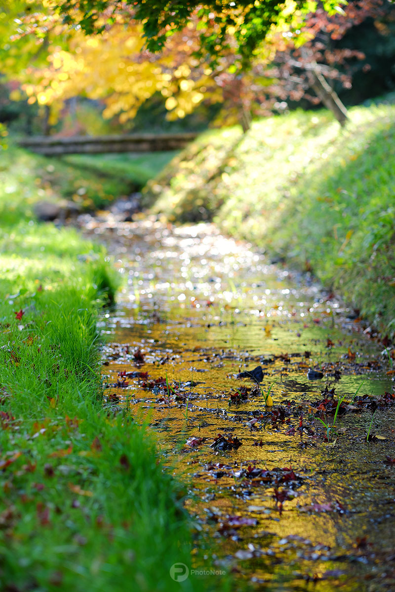 初秋の小川
