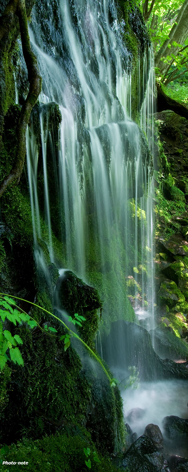緑陰の滝