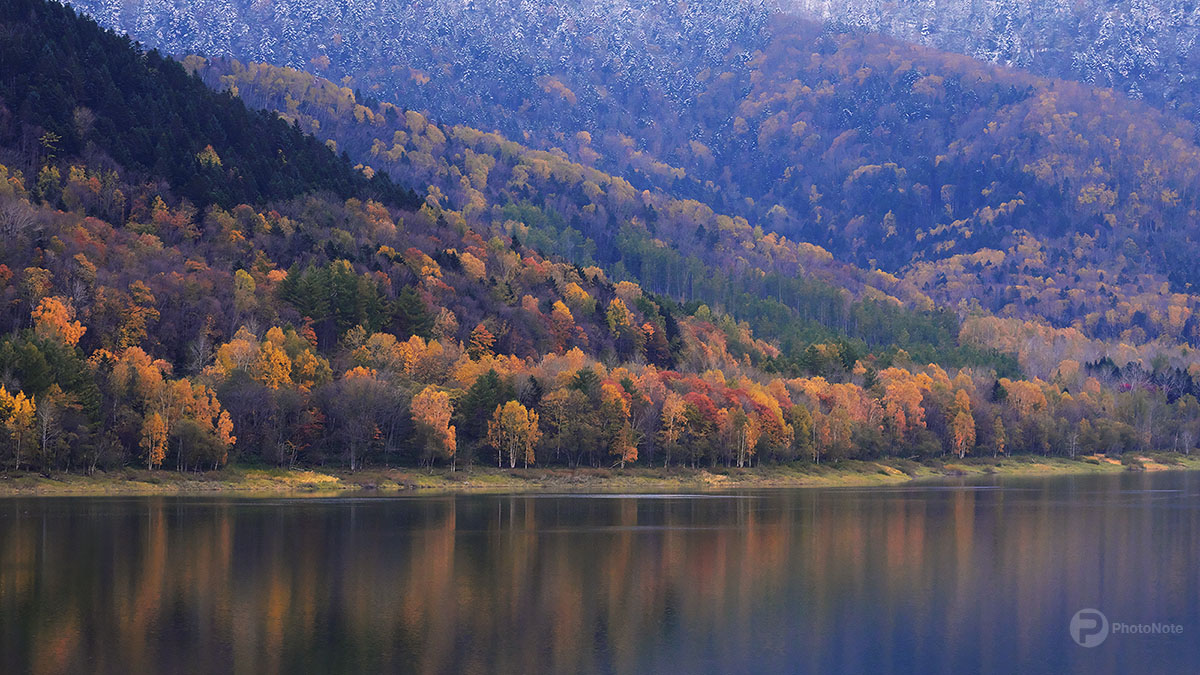 ゆく秋の湖畔