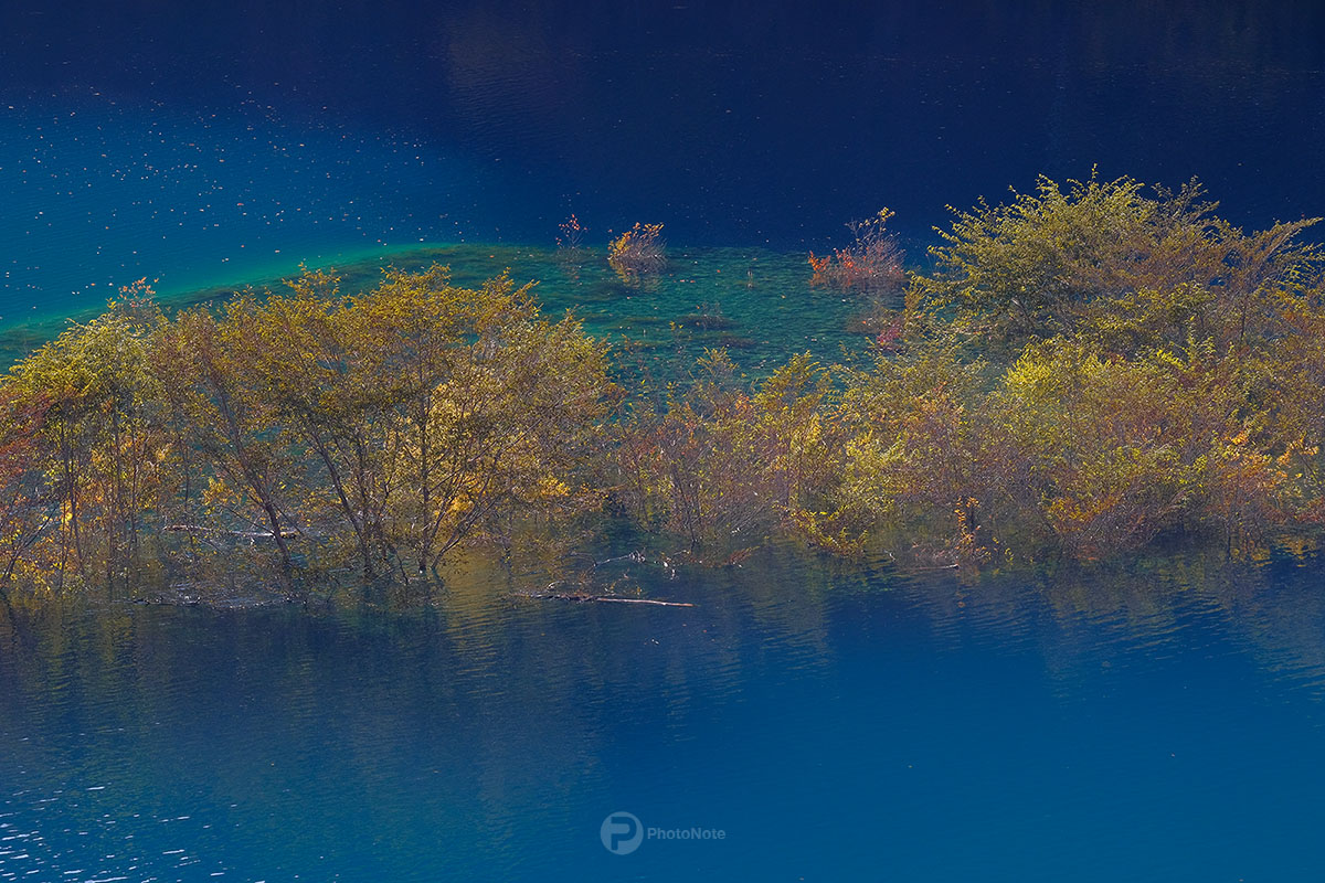湖面の秋